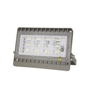 Đèn Pha Philips OEM 100w (TDL-L035) Thành Đạt Led