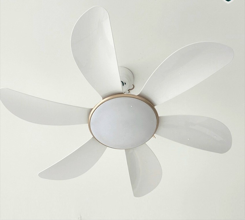 Quạt trần đèn trang trí 219 Nhựa ABS cao cấp 6 Cánh - Thành Đạt Led